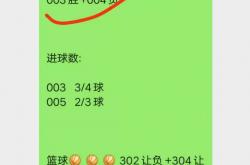 雷速体育网页版-数据分析：西雅图海湾者历史战绩与本届展望的简单介绍