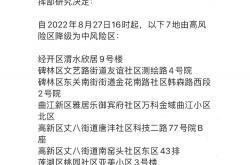 雷速体育官方-马其顿遭遇重大失利，降级风险加大