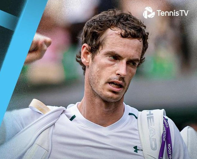 欧洲网球队险胜德国网球队，穆雷关键制胜的简单介绍